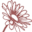 Kinderdagverblijf De Pettenvlet aan Zee logo