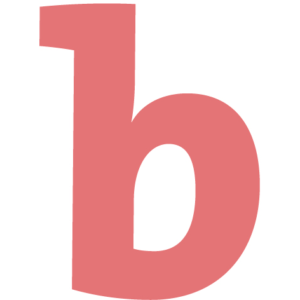 Borus B.V.