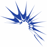Sport-BSO Flekss logo
