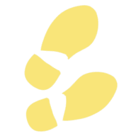 Vdebasis