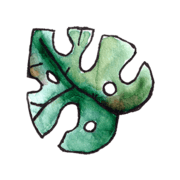Kinderopvang Het Stoerwoud Otterstraat B.V. logo