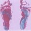 Wiersma logo