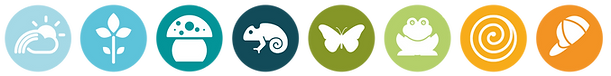 Stichting Kinderopvang de Plu logo